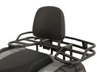 купить Квадроцикл GRIZZLY 200 Premium в Москве - фото 