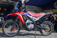 купить Мотоцикл кроссовый эндуро MOTOLAND Dakar LT (2021 Г.) в Москве - фото 