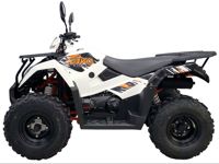 купить Квадроцикл KAYO AU300 EFI в Москве - фото 