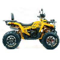 купить Квадроцикл MOTOLAND 200 Wild Track X Pro (Баланс. вал) (2021 Г.) в Москве - фото 