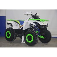 купить Квадроцикл AVANTIS Forester 200 Premium в Москве - фото 