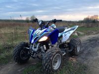 купить Квадроцикл ABM Scorpion 250 в Москве - фото 