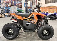 купить Квадроцикл SHARMAX Cross 200 (2024) в Москве - фото 