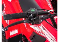 купить Квадроцикл SHARMAX 130 Cross в Москве - фото 