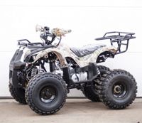 купить Квадроцикл STALKER 125 Lux в Москве - фото 