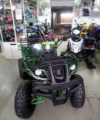 купить Квадроцикл ATV Avenger Evo в Москве - фото 