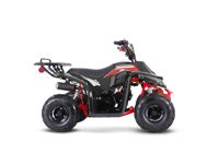 купить Квадроцикл SHARMAX 130 Cross в Москве - фото 