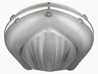 купить Лодка ПВХ X-RIVER Grace Wind 420 фальшборт в Москве - фото 