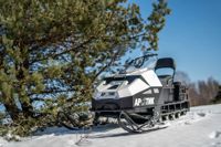 купить Снегоход БТС Arctic 4Т Лонг 20 л.с. в Москве - фото 
