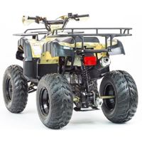 купить Квадроцикл STALKER 250 в Москве - фото 