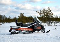 купить Снегоход SHARMAX SHP-1000 EFI в Москве - фото 