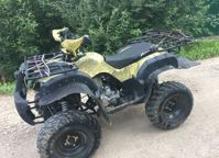 купить Квадроцикл MOTOLAND 250 Adventure (2021 Г.) в Москве - фото 