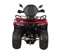 купить Квадроцикл BIZON YK250 Lux EFI в Москве - фото 
