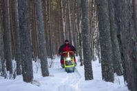 купить Мотобуксировщик POMOR X1 Pro 6.5 л.с. в Москве - фото 