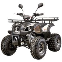 купить Квадроцикл YACOTA Kids 8 LD в Москве - фото 