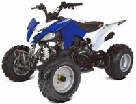 купить Квадроцикл ABM Scorpion 150 в Москве - фото 