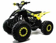 купить Квадроцикл MOTOLAND 125 Raptor в Москве - фото 