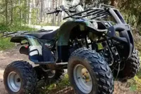 купить Квадроцикл WELS Thunder 200 в Москве - фото 