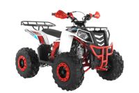 купить Квадроцикл WELS Thunder EVO X ST в Москве - фото 