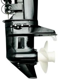 купить 2х-тактный лодочный мотор MESAN 9.9 Plus в Москве - фото 