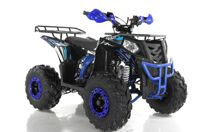 купить Квадроцикл WELS Thunder EVO в Москве - фото 