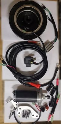 купить 2х-тактный лодочный мотор ALLFA CG T40 FWT S в Москве - фото 