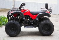 купить Квадроцикл UNIVERSAL Bull 200 в Москве - фото 