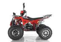 купить Квадроцикл WELS Thunder EVO X в Москве - фото 
