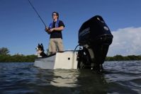 купить 4х-тактный лодочный мотор TOHATSU MFS 30 EPS в Москве - фото 