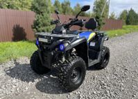 купить Квадроцикл ГЛАДИАТОР F200 LUX Б/У в Москве - фото 