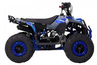 купить Квадроцикл WELS Thunder EVO M детский в Москве - фото 