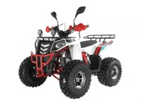 купить Квадроцикл WELS Thunder EVO LUX X 125 в Москве - фото 