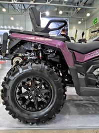 купить Квадроцикл АОДЕС Pathcross MAX 1000 LTD (2025) в Москве - фото 