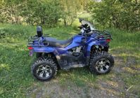 купить Квадроцикл IRIDE WOLF 300 (2023) Б/У в Москве - фото 