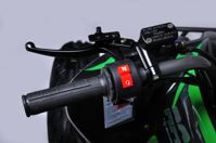 купить Квадроцикл MIKILON Rapide 200 EFI в Москве - фото 