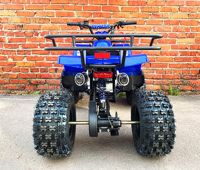 купить Квадроцикл MOWGLI Bold 8 в Москве - фото 