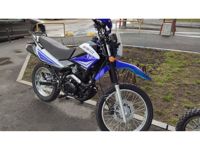 купить Мотоцикл кроссовый эндуро RACER Panther Lite RC250GY-C2A в Москве - фото 