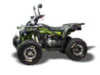 купить Квадроцикл MOTOLAND 125 Wild X Pro в Москве - фото 