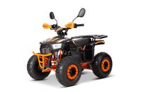 купить Квадроцикл YACOTA Sirius 110 в Москве - фото 