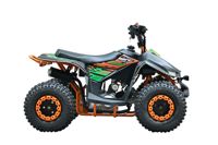 купить Квадроцикл WELS Tukah 110 в Москве - фото 