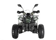 купить Квадроцикл WELS Thunder EVO LUX X 125 в Москве - фото 