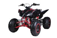 купить Квадроцикл MIKILON Rapide 200 EFI в Москве - фото 
