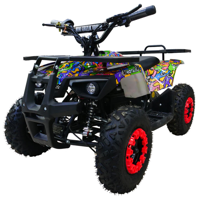 купить Электроквадроцикл MOTAX Mini Grizlik X-16 E1000 BW в Москве - фото 