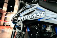 купить Мотоцикл кроссовый эндуро ПРОГАСИ Palma 300 в Москве - фото 