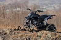 купить Снегоцикл TIGER Universal 150 в Москве - фото 