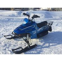 купить Снегоход РУСИЧ 200A в Москве - фото 