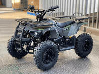 купить Электроквадроцикл MOTAX GRIZLIK X16 NEW E1000 BW в Москве - фото 