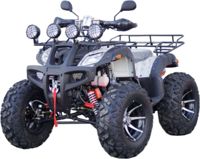 купить Квадроцикл STALKER 250 Premium в Москве - фото 