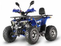 купить Квадроцикл GRIZZLY Aerox 125 в Москве - фото 