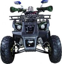 купить Квадроцикл AVANTIS Hunter 8+ 125 2018 в Москве - фото 